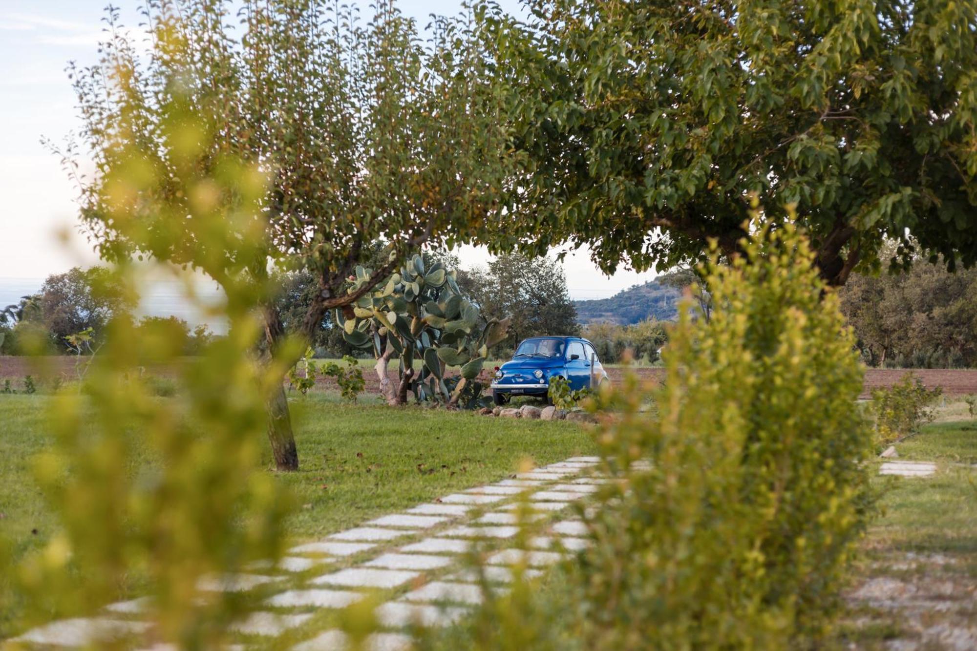 Villa Eirene Ricadi Εξωτερικό φωτογραφία