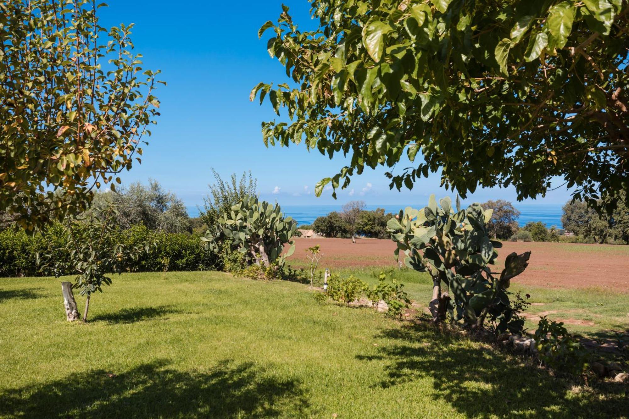 Villa Eirene Ricadi Εξωτερικό φωτογραφία